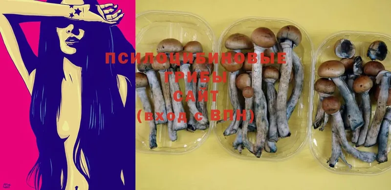 Галлюциногенные грибы Cubensis  Белинский 